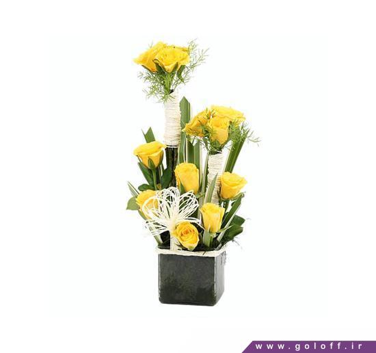 سبد گل تولد - سبد گل آلاندرو - Alandro | گل آف